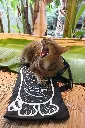 20260923_150755.webp