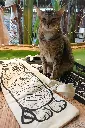 20260923_151935.webp